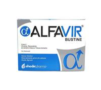 SHEDIR ALFAVIR 20 BUSTINE