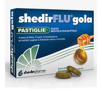 SHEDIRFLU GOLA MENTA EUC 48PAS