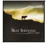 Sheehan Billy - Holy Cow!