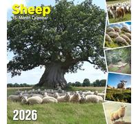 Sheep 2026 Calendar: Pasture-dwelling fluff balls in peaceful settings