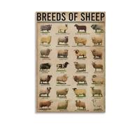 Sheep Breeds Poster - Farm Animals Educational Wall Chart for Classroom, 4H Club, Agricultural Study Reference(Framed,12X18inch(30X45cm))