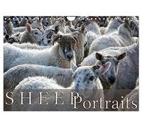 Sheep Portraits (Wall Calendar 2026 DIN A4 landscape), CALVENDO 12 Month Wall Calendar: Discover 12 beautiful portraits of sheep in the countryside