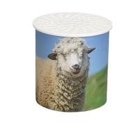 Sheep Sound Imitation Toy - Realistic Animal Noise Maker, Inverted Sound | Voice Box Device, Interactive Entertainment Toy for Creative Play | For Kids Home Classroom Parties Playtime And Special