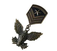 SHEGOTO Distintivo antico appassionato di valore storico emblemi da collezione spilla in metallo per la decorazione di vestiti