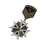 SHEGOTO Distintivo antico appassionato di valore storico emblemi da collezione spilla in metallo per la decorazione di vestiti