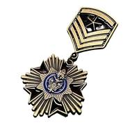 SHEGOTO Distintivo antico appassionato di valore storico emblemi da collezione spilla in metallo per la decorazione di vestiti