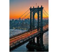 SHEGZHUC 40 x 50 cm Diamond Painting Adulto Manhattan Bridge Pittura Diamante Quadri New York City Ponte Mosaico Ricamo Punto Croce Arte Regalo Decorazione da Parete per Camera da Letto Soggiorno