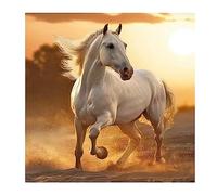SHEGZHUC Diamond Painting Cavalli Corrono 40x40 cm Diamond Painting Cavallo Bianco Paint Diamond Tramonto Diamond Paint Grandi Dimensioni Spiaggia 5D Diamond Painting Animali Cavalli Paesaggi