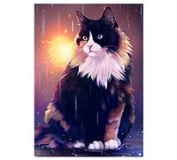 SHEGZHUC Diamond Painting Gatto Nero 30 x 40 cm Painting Diamond 5D Gatto Punto Croce Kit da Ricamare con Gatto Puzzle con Perline Gatto Kit Perline Gatto Diamond Painting Kit Completo Animali