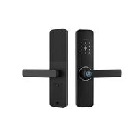 SHEHUALI Maniglia della porta intelligente, Serratura elettronica digitale Serratura intelligente Serratura digitale Casa Smart Home digitale biometrica(22x225R)