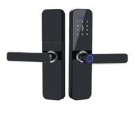 SHEHUALI Maniglia della porta intelligente, Serratura elettronica intelligente con serratura impermeabile IP65 con impronta digitale/smart card/password/chiave/sblocco APP(22x195R)