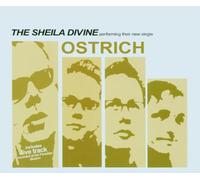 Sheila Divine,the - Ostrich