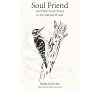 Sheila McEntee Soul Friend (Copertina rigida)
