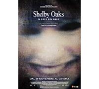 Shelby Oaks - Il Covo Del Male (DVD)