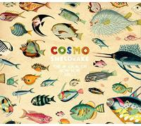 Sheldrake Cosmo - MUCH MUCH HOW HOW & I