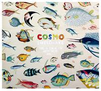 Sheldrake Cosmo - The Much Much How How And I