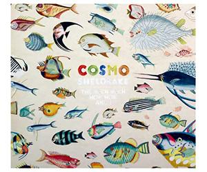 Sheldrake Cosmo - The Much Much How How And I