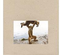 Shellac - Dude Incredible