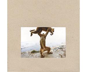 Shellac - Dude Incredible