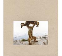 Shellac Dude Incredible (Vinyl LP) 12" Album with CD
