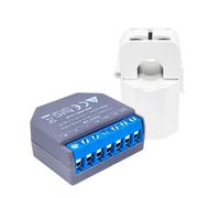Shelly EM Misuratore consumo elettrico Smart 1 canale + 1 Pinza amperometrica 50A monitoraggio monofase WiFi