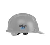 Shelmet Casco di Sicurezza con Plastica Culla (Grigio)