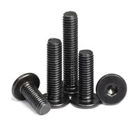 SHENGG 5~50 pezzi/lotto M2 M2.5 M3 M4 M5 M6 M8 in acciaio inossidabile zincato nero 304 con esagono incassato, vite a testa piatta ultra sottile(Black 304,M6x25mm (10pcs))