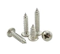 SHENGG M1 M1.2 M1.4 M1.6 M1.7 M2 M2.2 M2.3 M2.6 M3 Vite autofilettante in acciaio inossidabile SS304(M2X6 500PCS)
