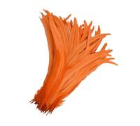 SHENJMAI Artigianato Piume 100pcs Feathers, 10-12 Inches - Ideal for DIY Crafts & Wedding Party Decorations (Color 1)