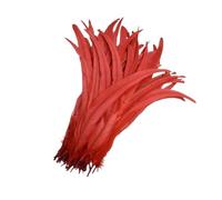 SHENJMAI Artigianato Piume 100pcs Feathers, 10-12 Inches - Ideal for DIY Crafts & Wedding Party Decorations (Red)