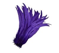 SHENJMAI Artigianato Piume 100pcs Feathers, 10-12 Inches - Ideal for DIY Crafts & Wedding Party Decorations (Color 4)