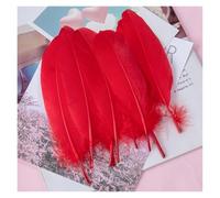 SHENJMAI Artigianato Piume 15-20cm Feather Multicolor Plumas for Handicraft Dream Catcher Feather for Home Party Jewelry Decoration(Red,20pcs)