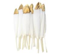 SHENJMAI Artigianato Piume 20Pcs 10-15cm Feathers for DIY Crafts,Soft And Colorful Wedding Party Decorations, Feather Headpieces, Sewing Projects (Color 5)