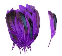 SHENJMAI Artigianato Piume 50/100 PCS Feathers for Craft Feather Making DIY Handicraft Accessories Carnival Party Jewelry Gift Decoration(Color 6,50pcs)