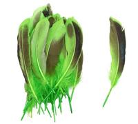 SHENJMAI Artigianato Piume 50/100 PCS Feathers for Craft Feather Making DIY Handicraft Accessories Carnival Party Jewelry Gift Decoration(Gray,50pcs)