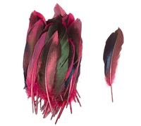 SHENJMAI Artigianato Piume 50/100 PCS Feathers for Craft Feather Making DIY Handicraft Accessories Carnival Party Jewelry Gift Decoration(Color 1,50pcs)