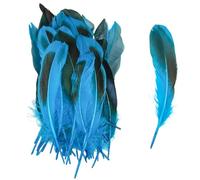 SHENJMAI Artigianato Piume 50/100 PCS Feathers for Craft Feather Making DIY Handicraft Accessories Carnival Party Jewelry Gift Decoration(Color 3,100pcs)