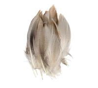 SHENJMAI Artigianato Piume 50/100 PCS Feathers for Craft Feather Making DIY Handicraft Accessories Carnival Party Jewelry Gift Decoration(White,50pcs)