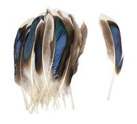 SHENJMAI Artigianato Piume 50/100 PCS Feathers for Craft Feather Making DIY Handicraft Accessories Carnival Party Jewelry Gift Decoration(Black,50pcs)