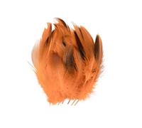 SHENJMAI Artigianato Piume 50/100 PCS Feathers for Craft Feather Making DIY Handicraft Accessories Carnival Party Jewelry Gift Decoration(Color 2,100pcs)