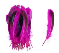 SHENJMAI Artigianato Piume 50/100 PCS Feathers for Craft Feather Making DIY Handicraft Accessories Carnival Party Jewelry Gift Decoration(Color 4,50pcs)