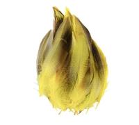 SHENJMAI Artigianato Piume 50/100 PCS Feathers for Craft Feather Making DIY Handicraft Accessories Carnival Party Jewelry Gift Decoration(Yellow,50pcs)