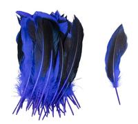 SHENJMAI Artigianato Piume 50/100 PCS Feathers for Craft Feather Making DIY Handicraft Accessories Carnival Party Jewelry Gift Decoration(Color 5,50pcs)