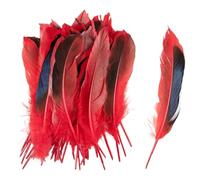 SHENJMAI Artigianato Piume 50/100 PCS Feathers for Craft Feather Making DIY Handicraft Accessories Carnival Party Jewelry Gift Decoration(Red,100pcs)