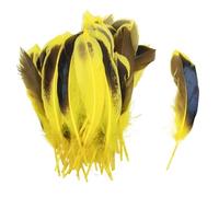 SHENJMAI Artigianato Piume 50/100 PCS Feathers for Craft Feather Making DIY Handicraft Accessories Carnival Party Jewelry Gift Decoration(Purple,50pcs)