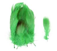 SHENJMAI Artigianato Piume 50/100 PCS Feathers for Craft Feather Making DIY Handicraft Accessories Carnival Party Jewelry Gift Decoration(Green,50pcs)