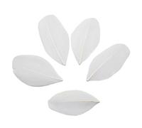 SHENJMAI Artigianato Piume 50Pcs 4-8cm Floating Head Feathers Feather DIY Jewelry Pendant Dyed Colors Plumes Craft Decoration Material(White)