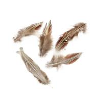 SHENJMAI Artigianato Piume 50pcs Feather Crafts DIY Carnival Accessories Feathers Handicraft Jewelry Earring Decoration Plumes(Color 9)