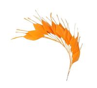 SHENJMAI Artigianato Piume Beautiful Feathers Flower Wedding Corsages Solid Feather for Crafts Headdress Decoration Accessories Plumes(Color 3)
