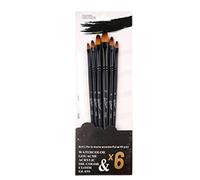 shenruifa Set di 6 pennelli acrilici in morbido nylon multiuso, pennelli professionali per acquerello, per studenti, artisti (unghie rotonde)